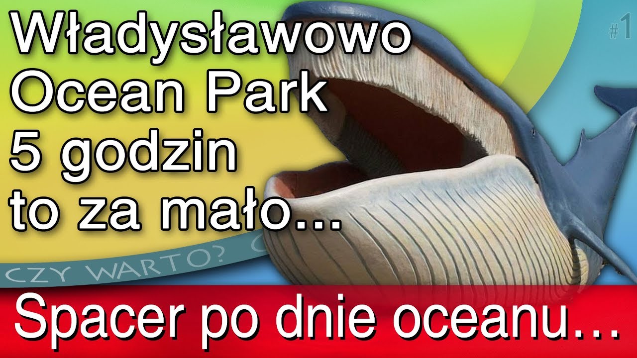 Czy warto? ➤ Ocean Park Władysławowo 2019 (cena, relacja video HD, przewodnik)