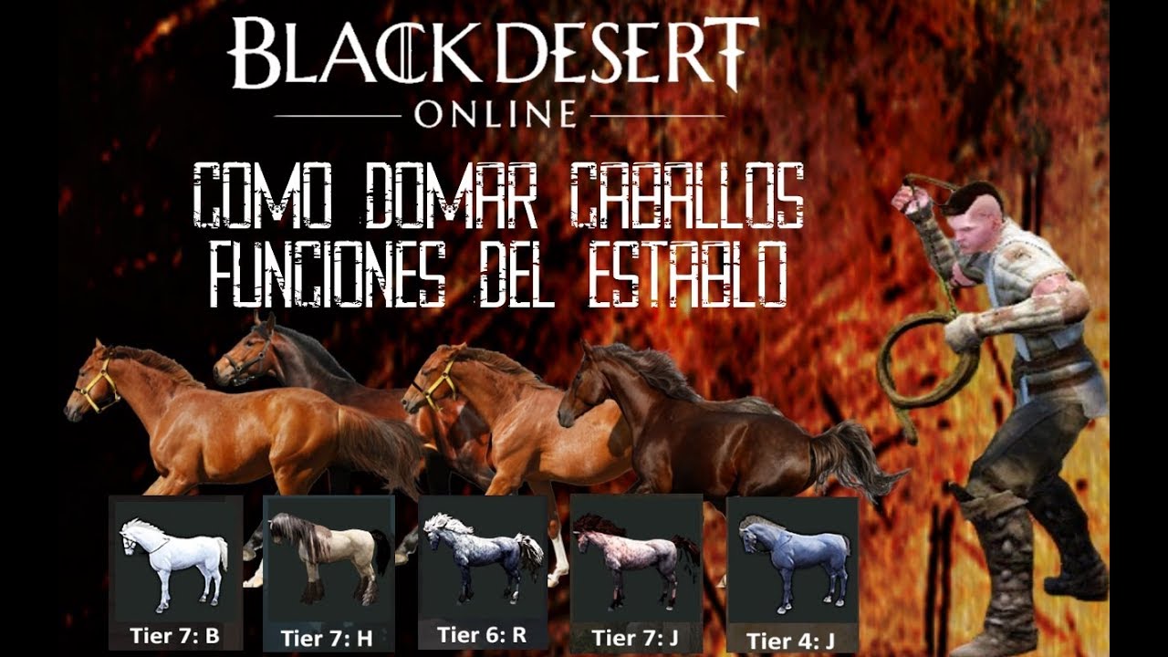 Black Desert Latino - COMO DOMAR CABALLOS | SUBIR TIER DE CABALLO EN ESTABLO