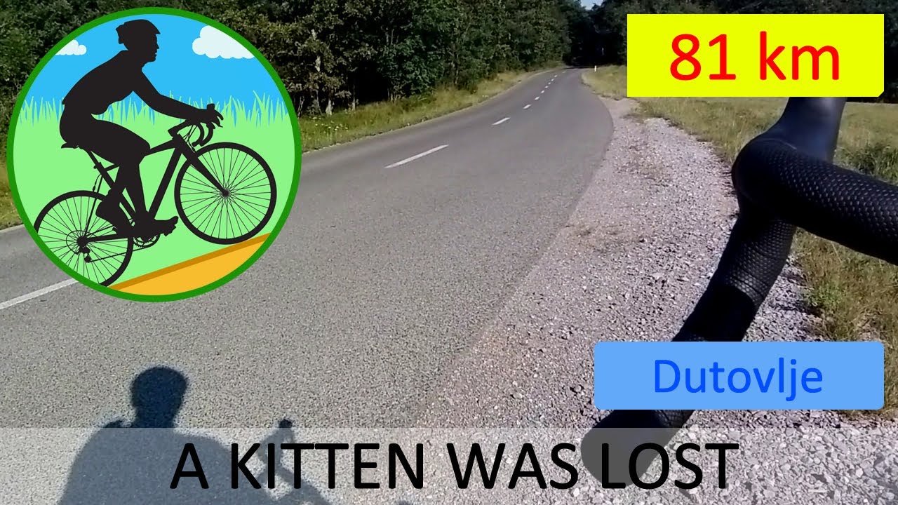 Cycling in Italy and through the Karst region in Slovenia, 81 km, a notice of a lost kitten found!
