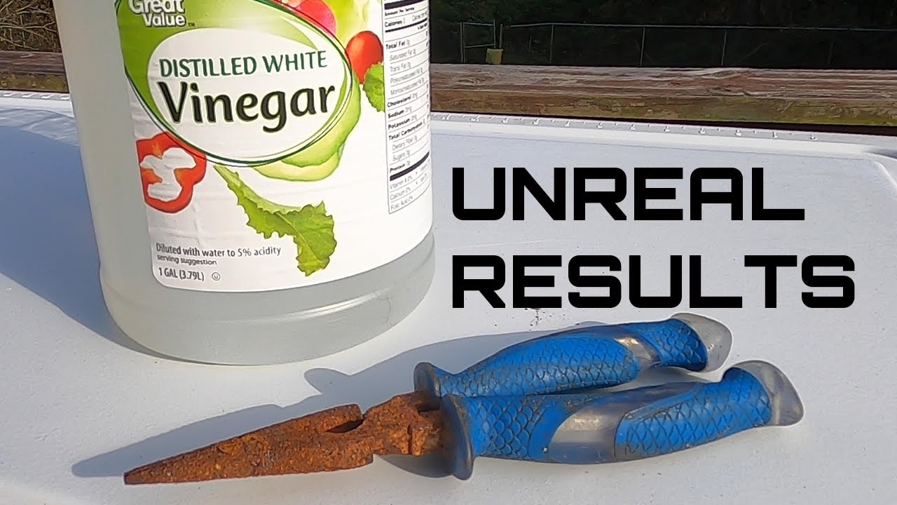 Using Vinegar to EASILY remove rust from any tool
