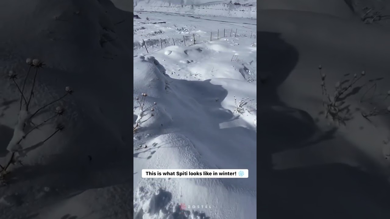 This is what Spiti looks like in winter!❄️