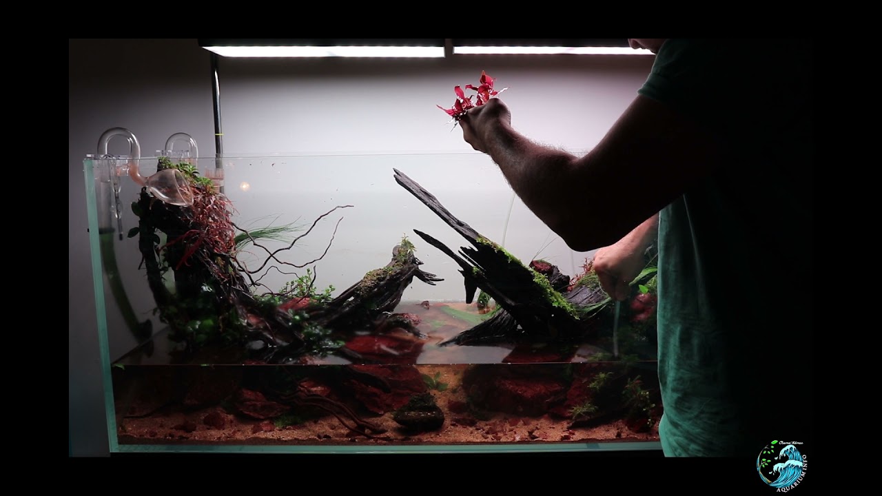 IAPLC2021 RANK#971 AAPLC TOP#4 انشاء حوض 120سم لمسابقات لسنة2021