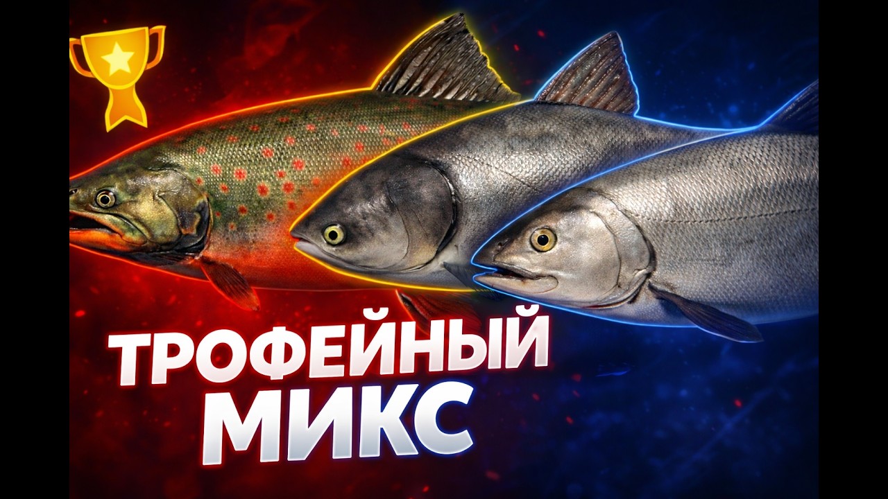 РУССКАЯ РЫБАЛКА 4 - ТРОФЕЙНЫЙ МИКС #1