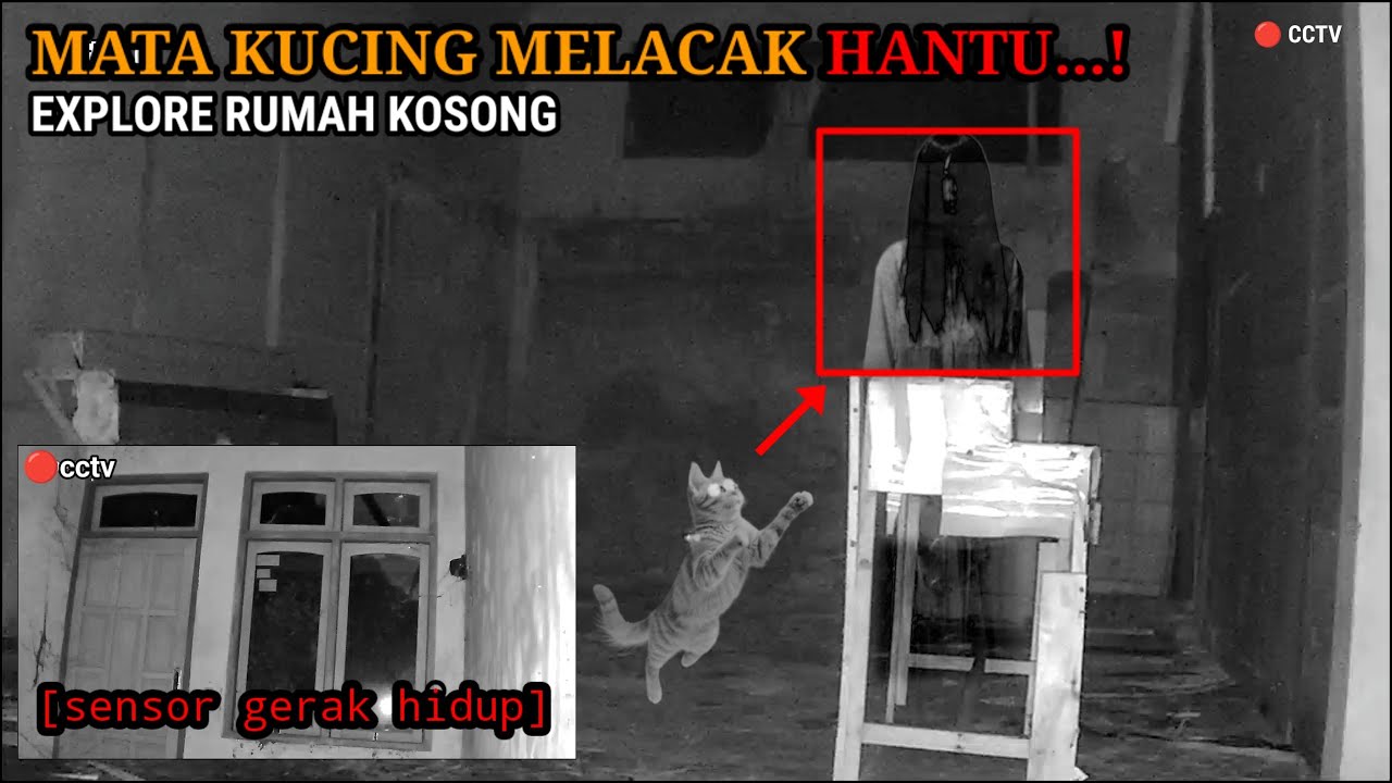 HORROR‼️PADAT...HANTU GENTAYANGAN RUMAH KOSONG || FULL CCTV HOROR