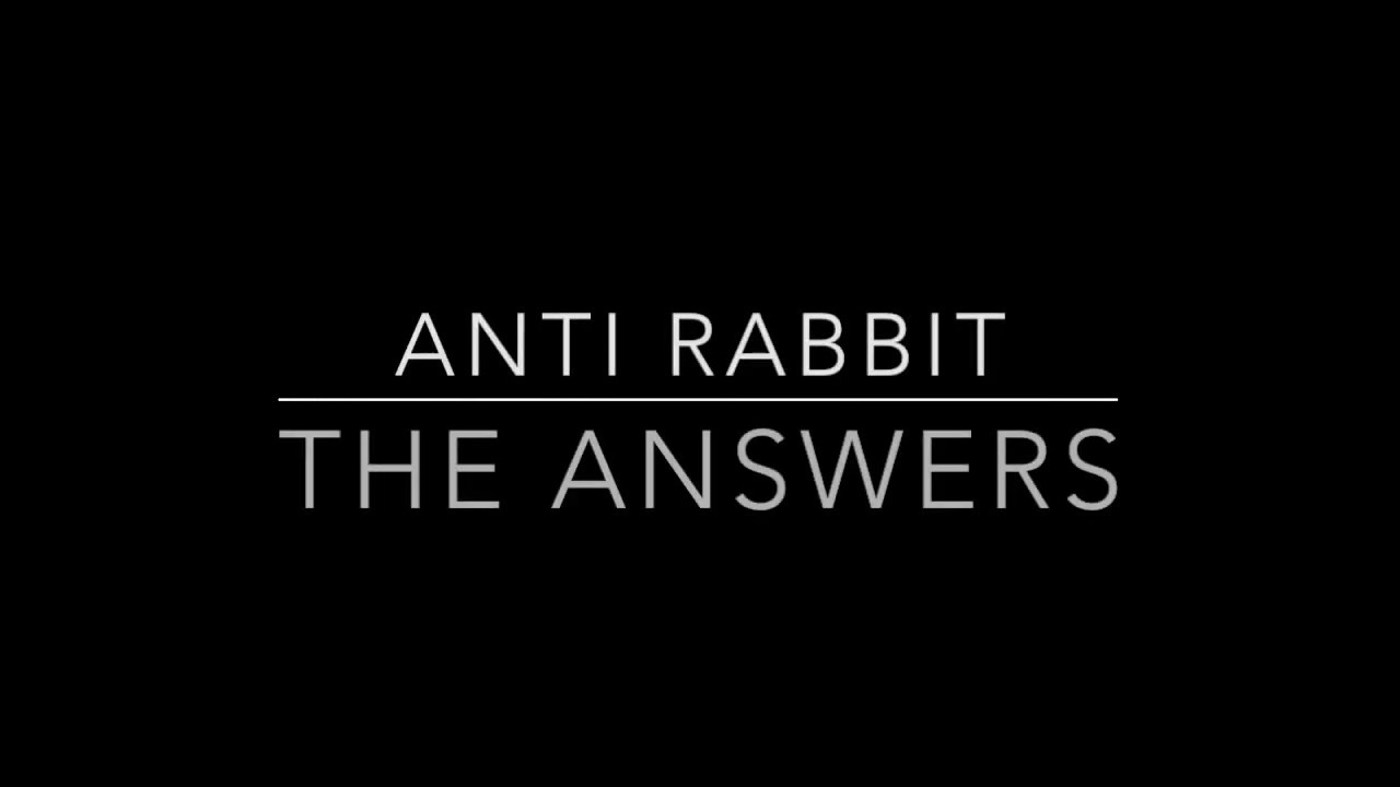 Anti Rabbit - The Answers
