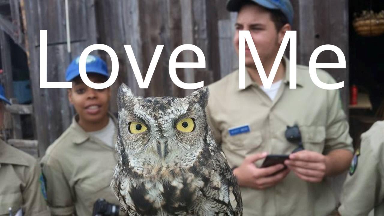 Griff's Wild Tips: Give Wildlife some Cat/Dog Love