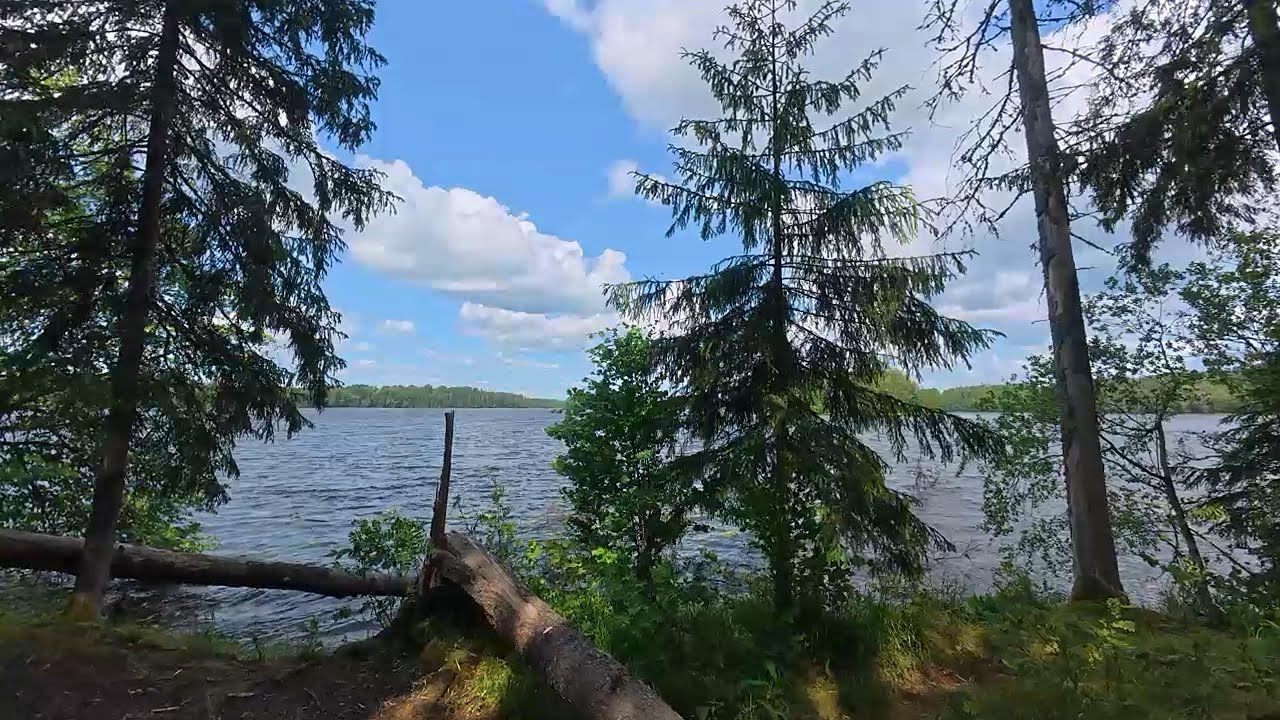 Hiking the Scenic Lake P&uuml;haj&auml;rv Trail in Estonia | Nature, Legends & Camping Views [4K]