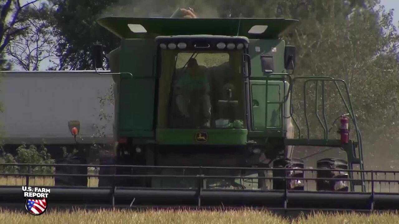 Farm Economy Faces Generational Downturn as Bankruptcies Rise and Trade Hopes Build