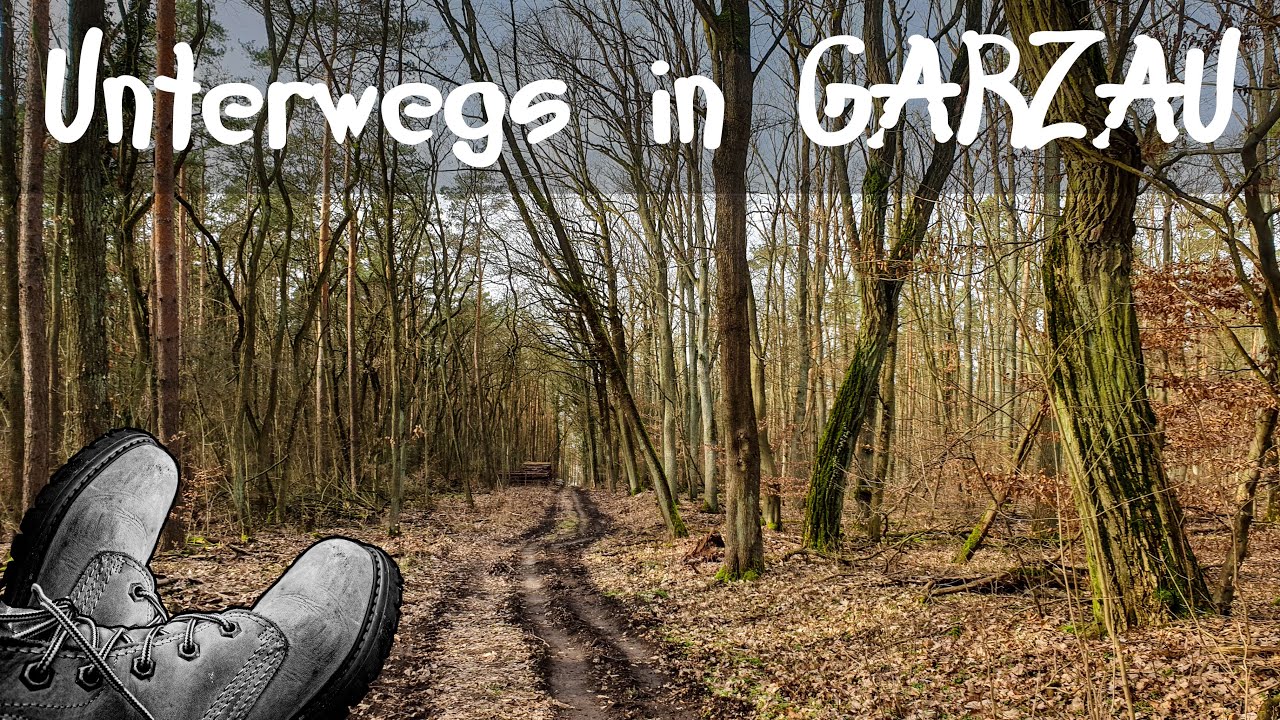 Garzau Garzin Wald Anitz