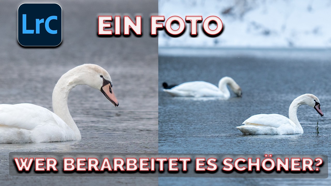 Ein Foto zwei Bearbeitungen - Schaue mir über die Schulter