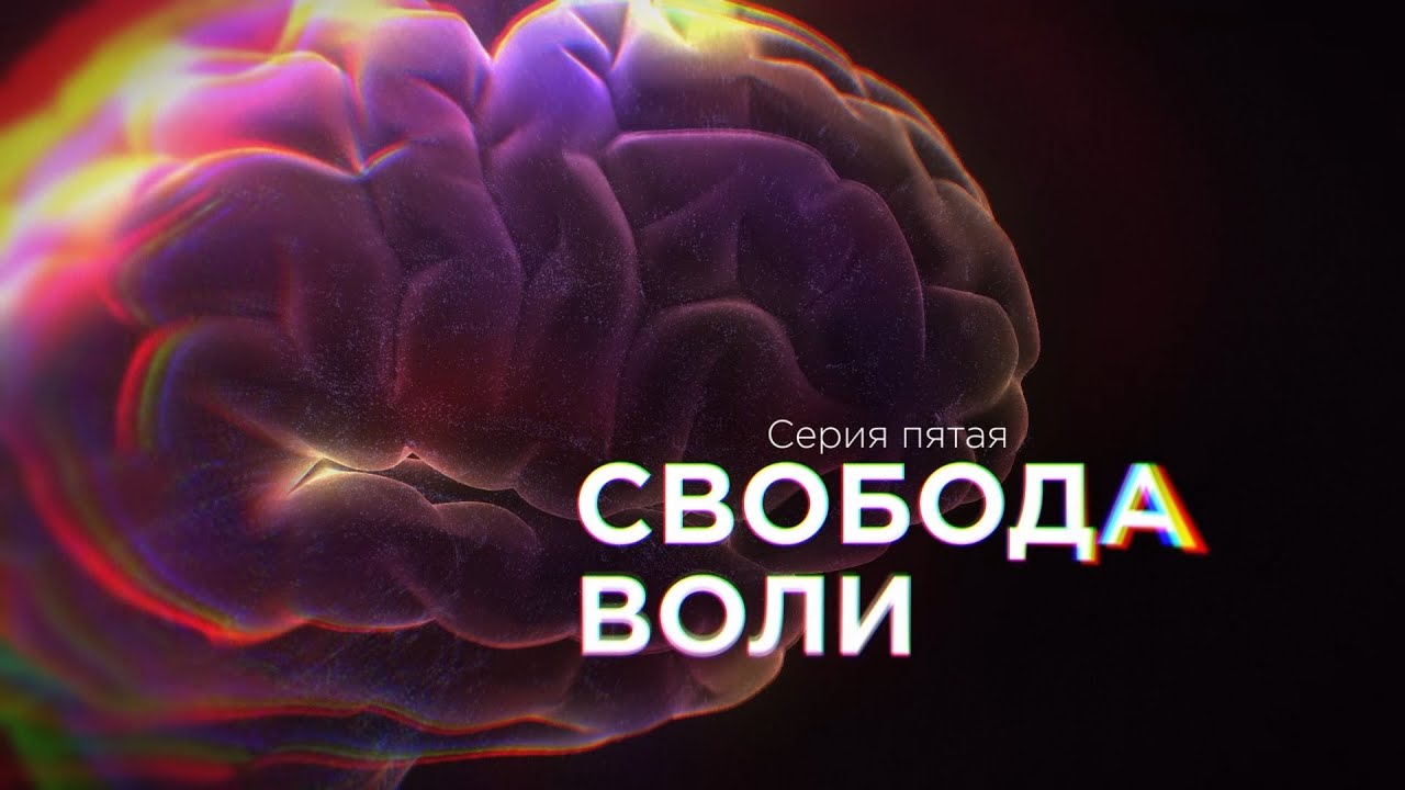 Сериал 