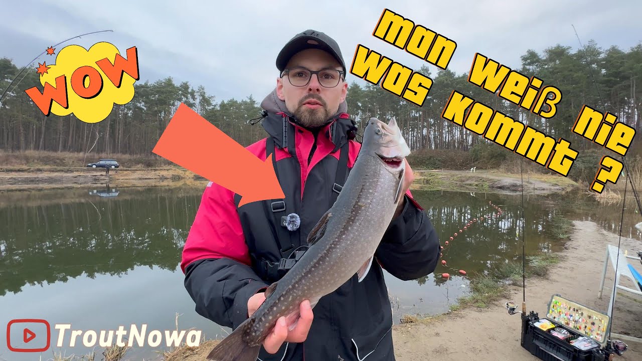 In diesen Angelpark weiß man nie was kommt - Forellenangeln - UL-Fishing - Angelpark Thönse