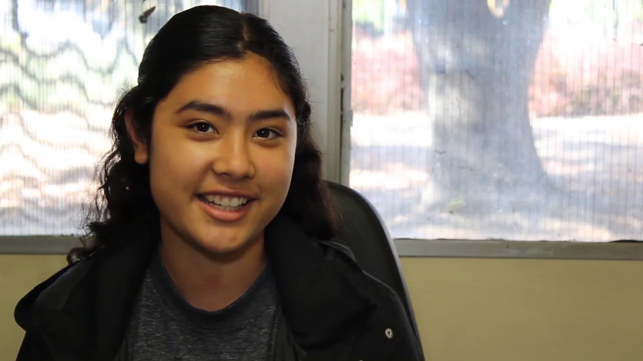 Marelyn Negrete Andrew P. Hill High School