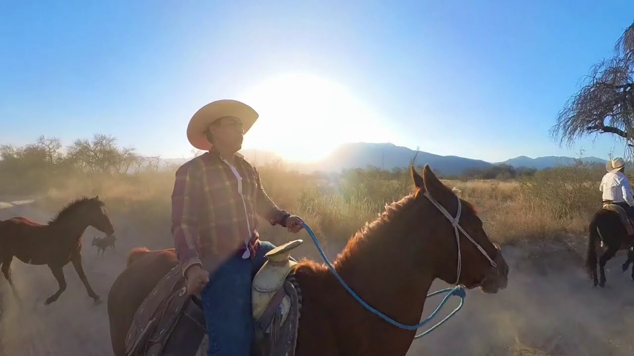 PASEANDO A CABALLO
