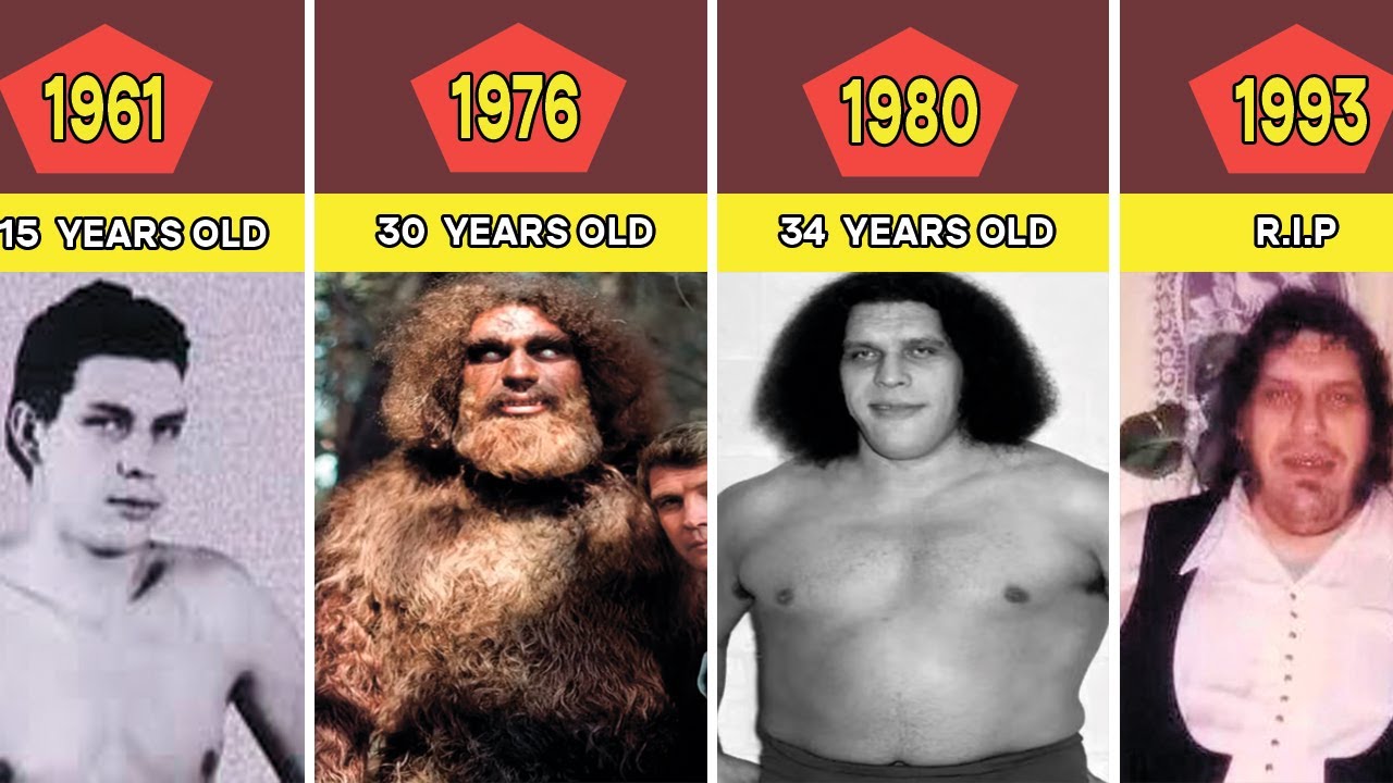 Andre The Giant | Transformation From 2 To 46 Years Old