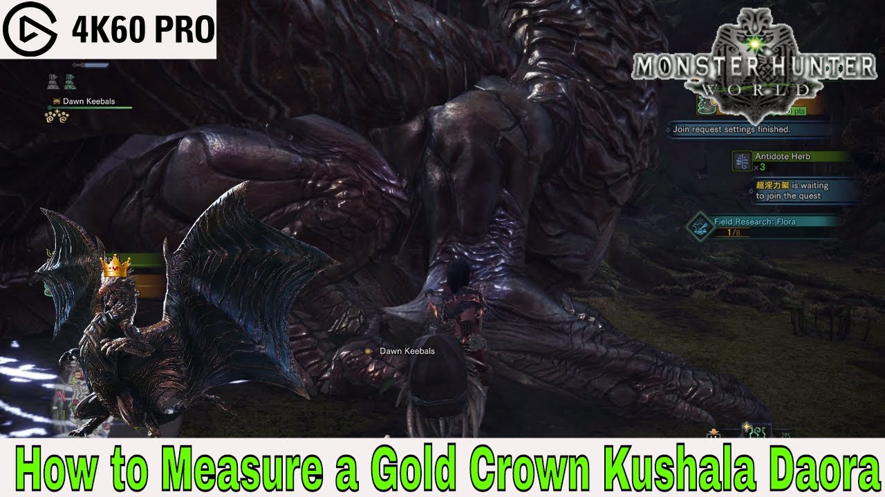 Monster Hunter: World — Как измерить золотую корону Кушала Даора