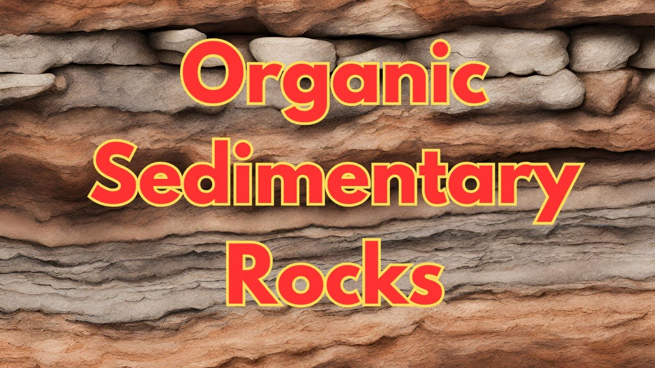 Organic Sedimentary Rocks