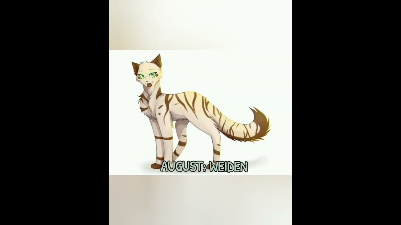Geburtstagsspecial ☺️ Namensgenerator 🥳