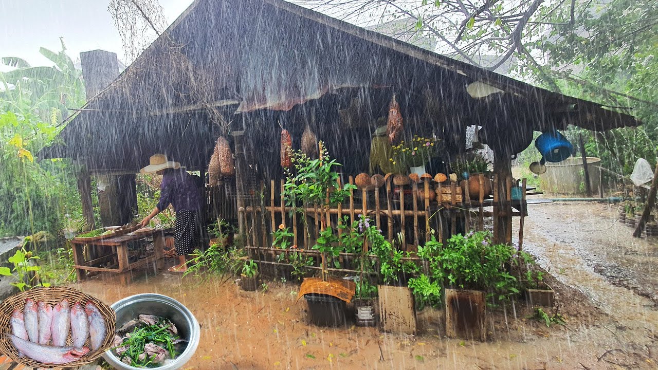 Village rainy day - Harvest and Cooking organic dinner | Countryside Vlog
