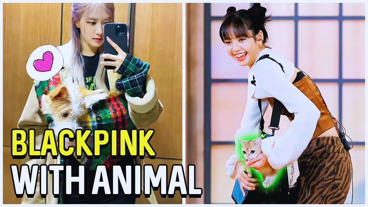 BLackpink With Animals Cute Moments