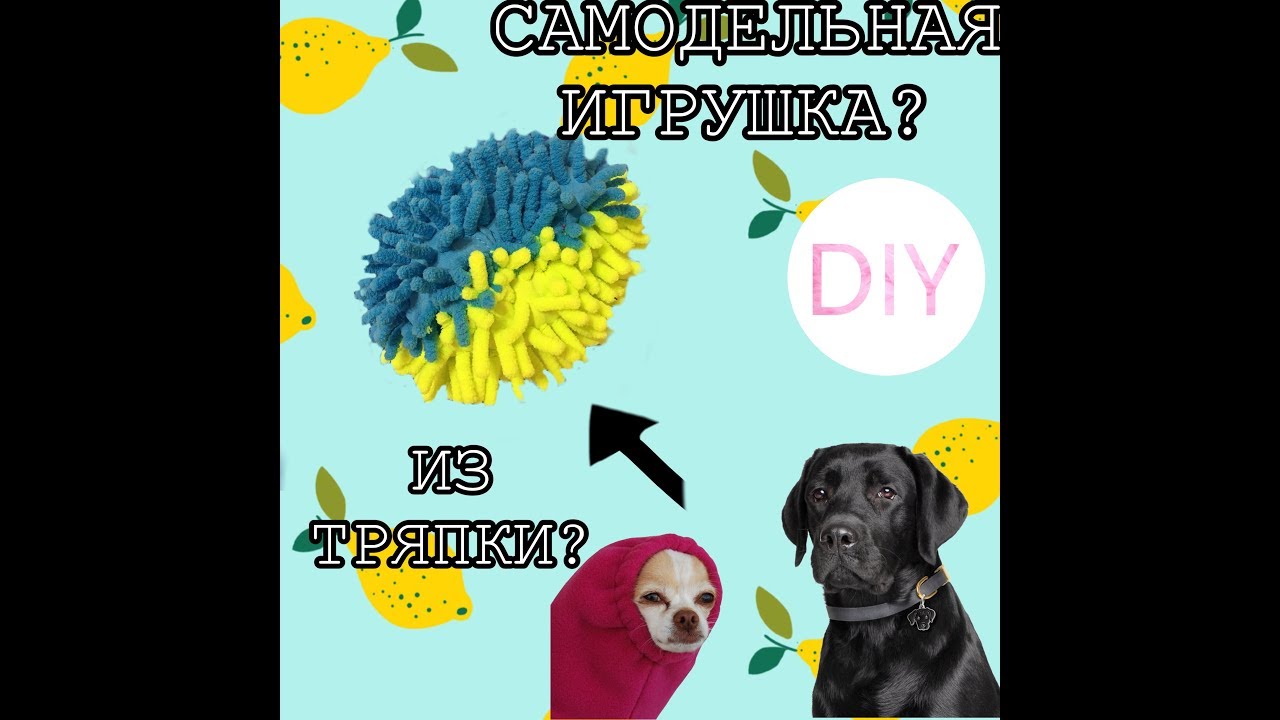 ИГРУШКА ИЗ МОПА ДЛЯ СОБАКИ//Migel LIFE