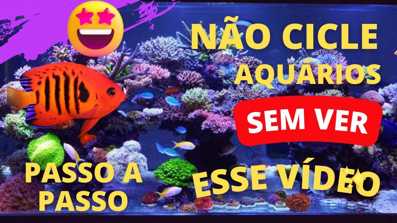 Não Cicle Aquários Antes de Ver Este Vídeo