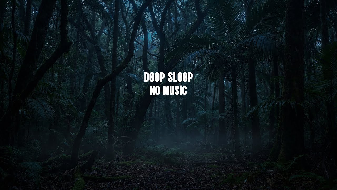Deep Sleep ASMR – Rain Forest Ambience | Fall Asleep Naturally