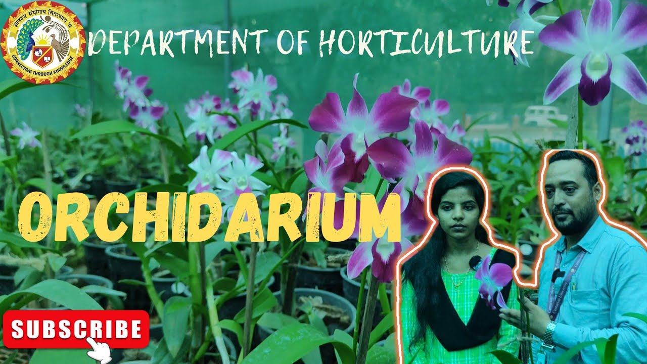 Exploring the World of Orchids | Orchid Cultivation & Management #centurion 