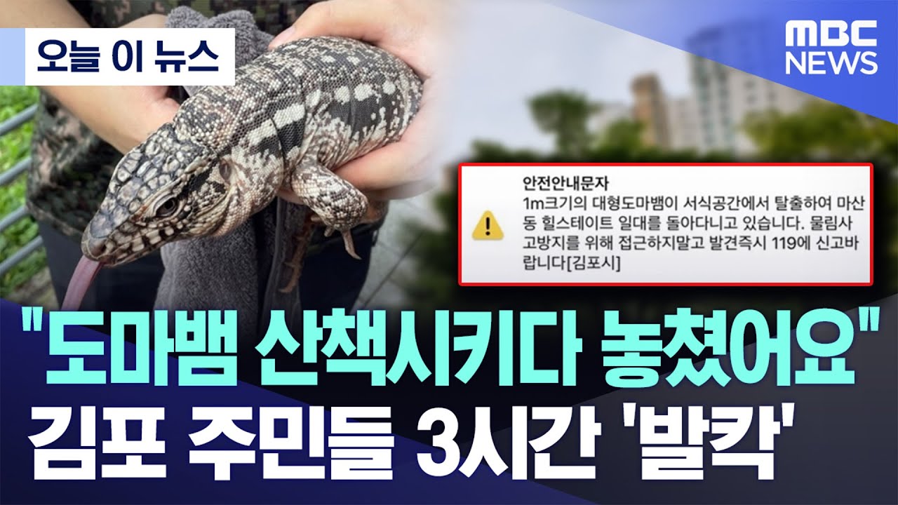 [오늘 이 뉴스] 