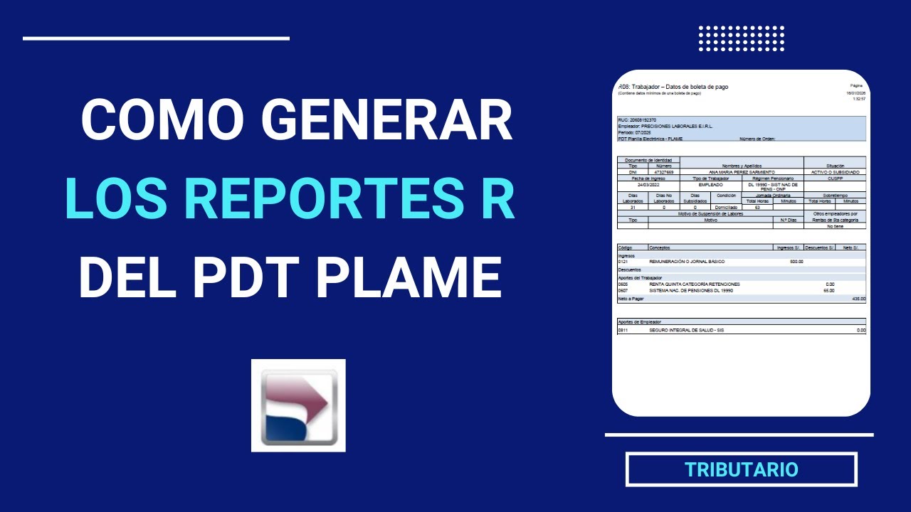 Como generar los reportes del PDT PLAME | SUNAT