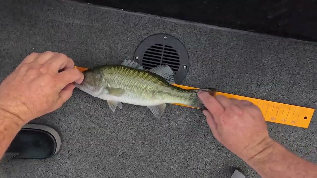 Almost hooked myself good! #fishing #adventure #summer #outdoors