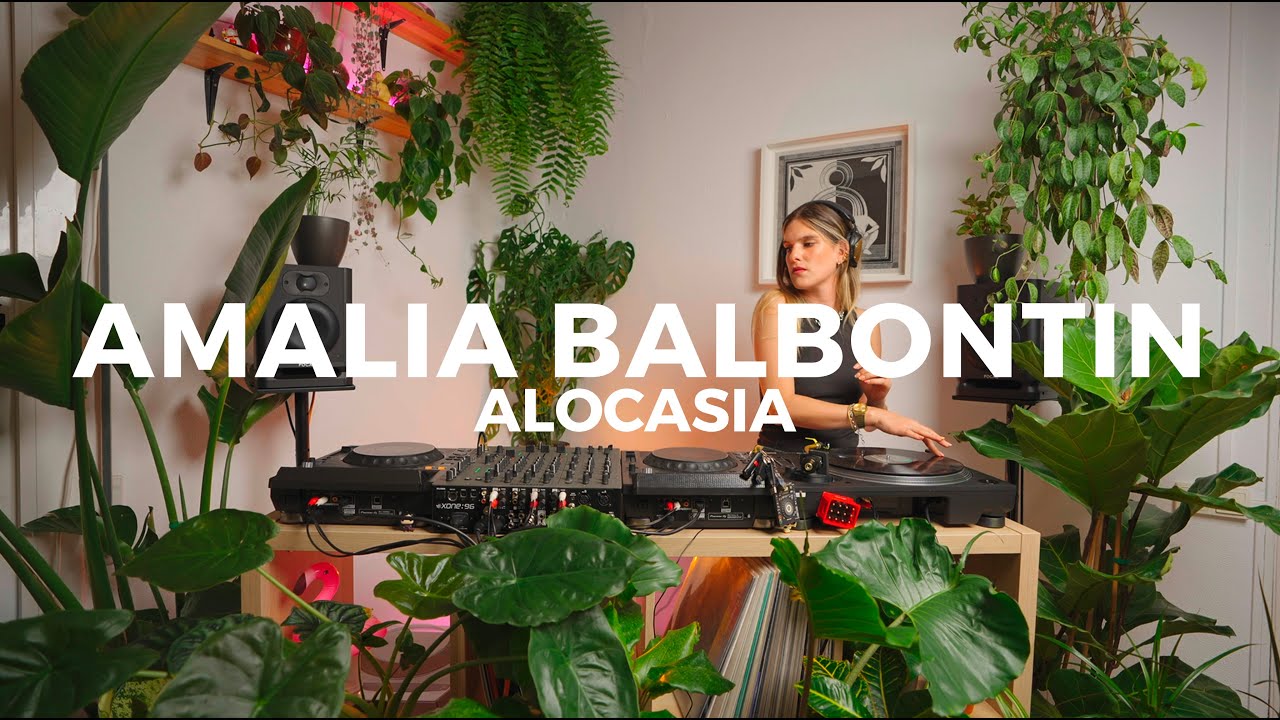 House and Disco sounds at home with Amalia Balbontin [Hybrid Set] - Alocasia TV Barcelona