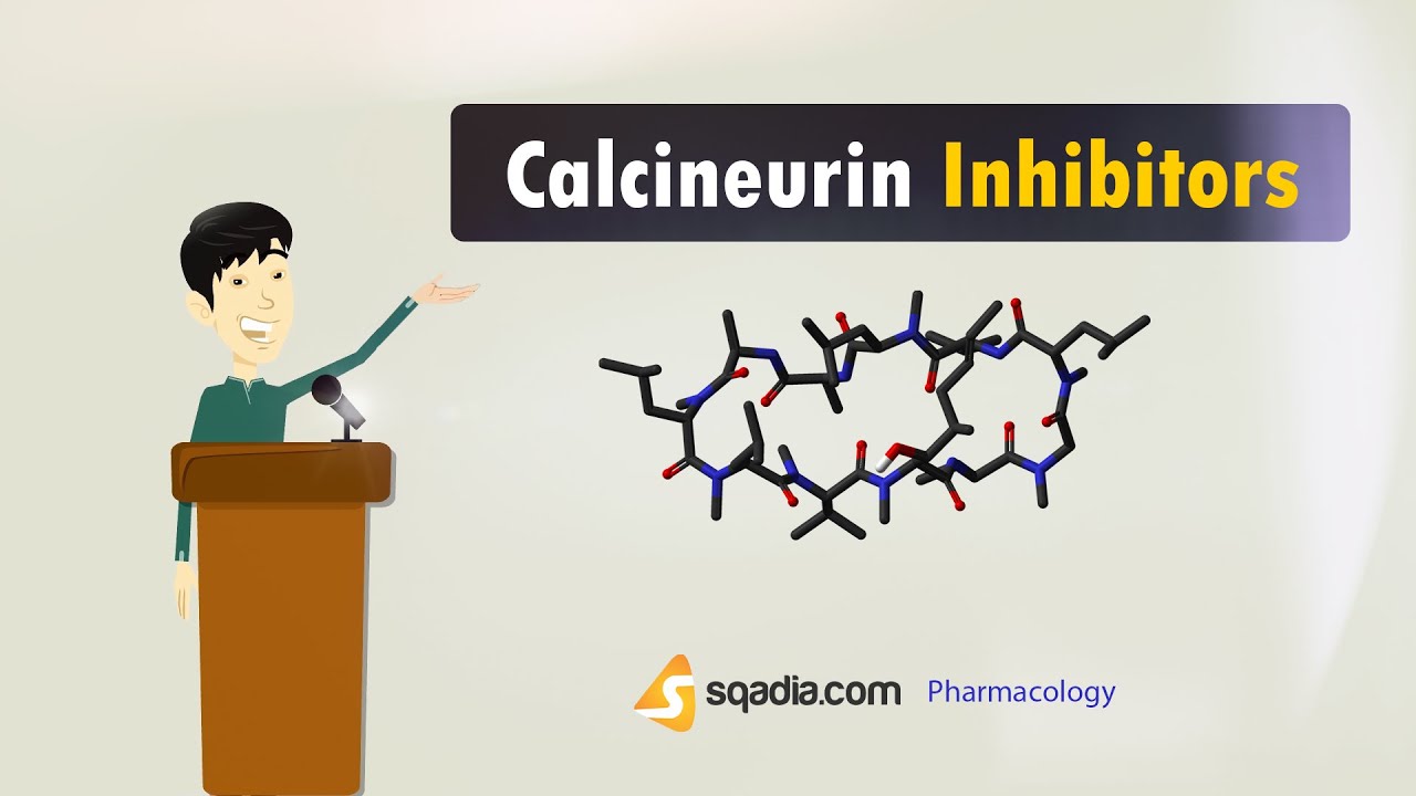 Calcineurin Inhibitors | Pharmacology