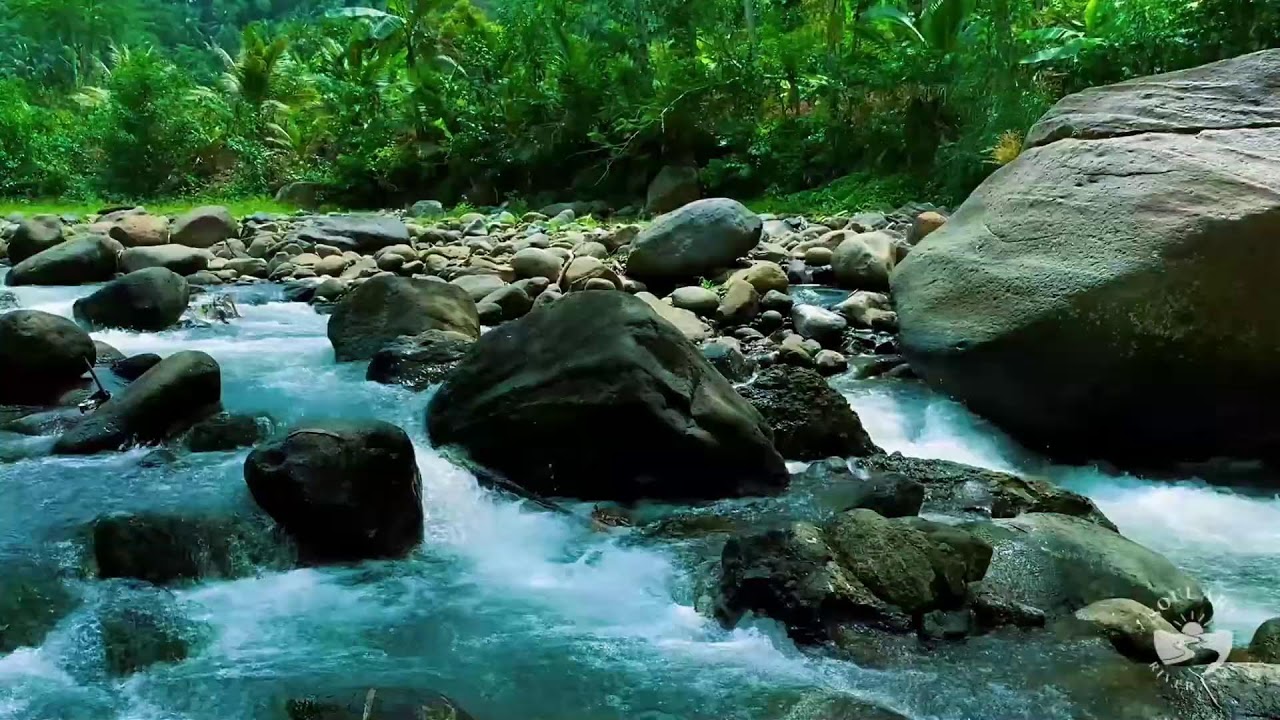 River Sounds & waterfall Sounds for Sleeping | Nature Stream for Relaxing & Stress Relief. #river 2