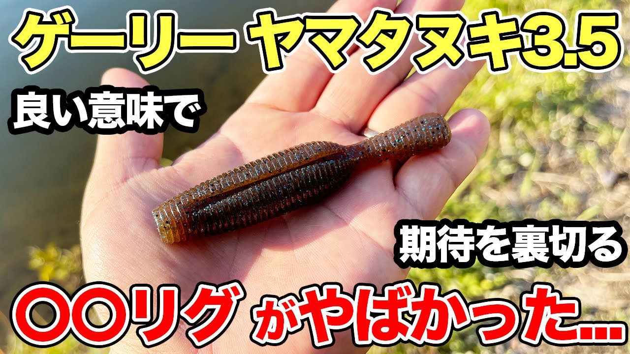 【バス釣り】ヤマタヌキ3.5インチのインプレ!!使い方やおすすめリグを試した結果...【デカタヌキ】【ゲーリーヤマモト】【高比重系を超えた】