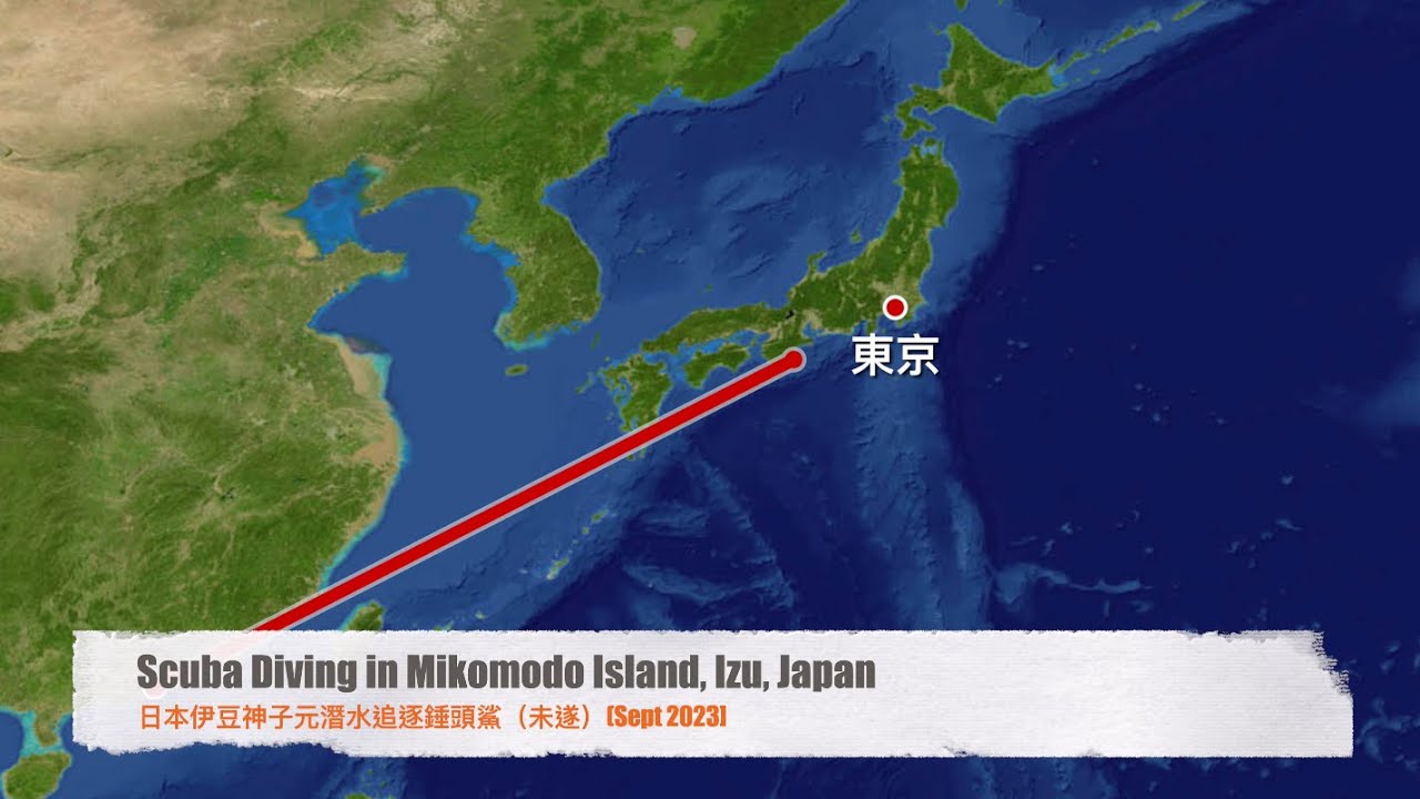 Scuba Diving in Mikomoto, Japan 日本神子元潛水 【Sept 2023]
