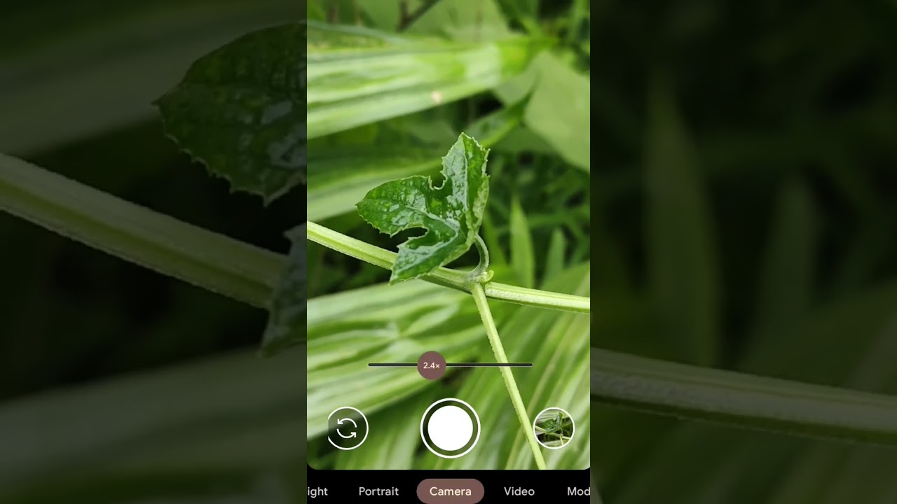 Perfect Camera 🔥 Gcam 8.5 Photography #shorts