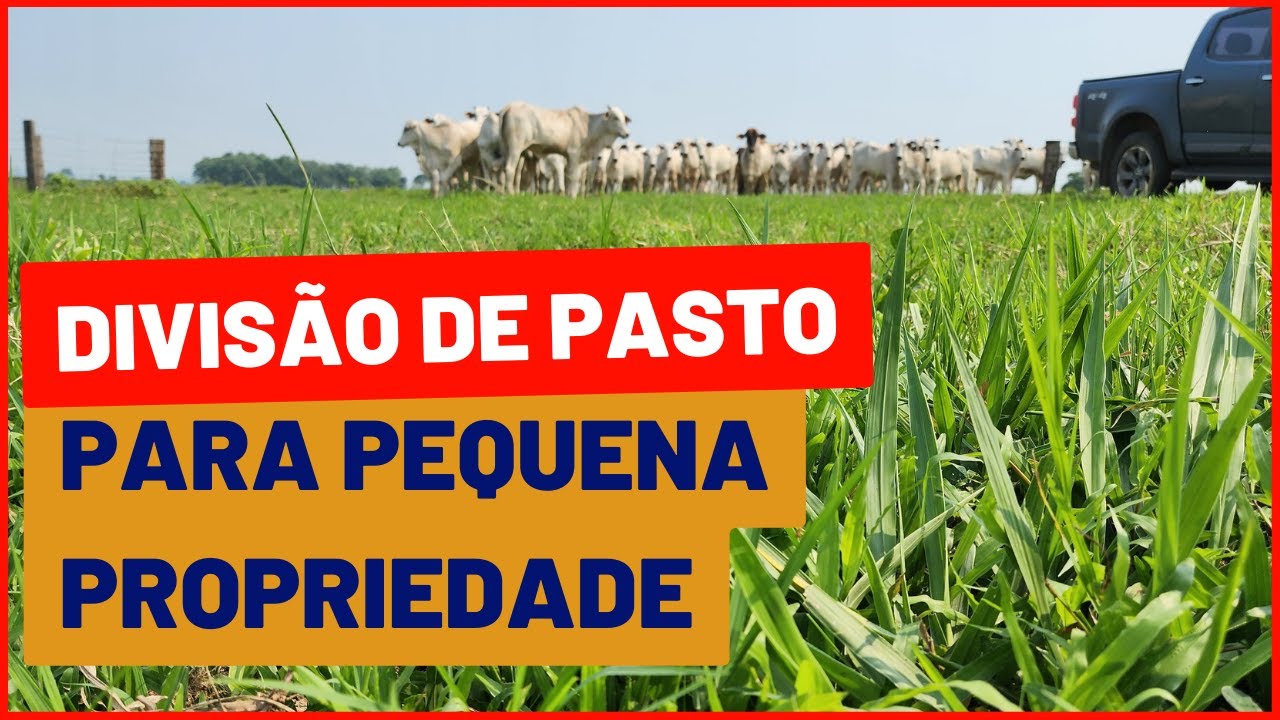 Projeto de DIVISÃO DE PASTAGEM para PEQUENA PROPRIEDADE