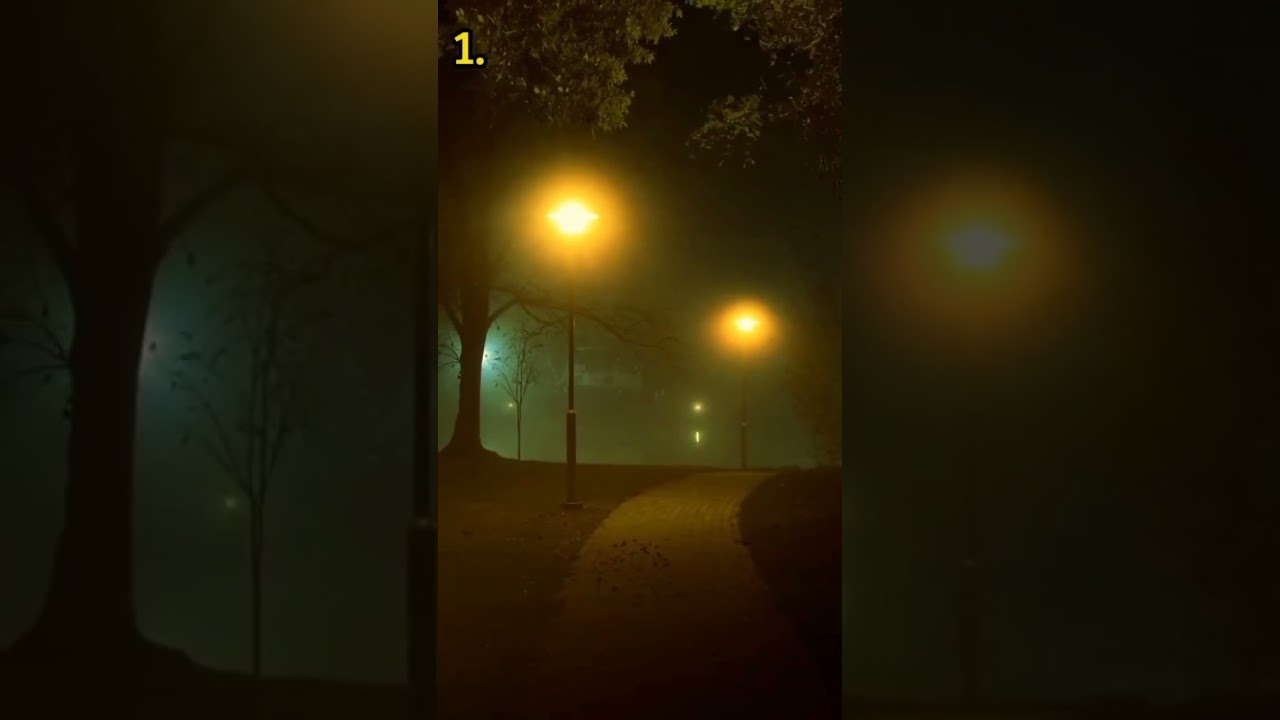 Mr Ramdon elige un camino para estar tranquilo y relajarte 