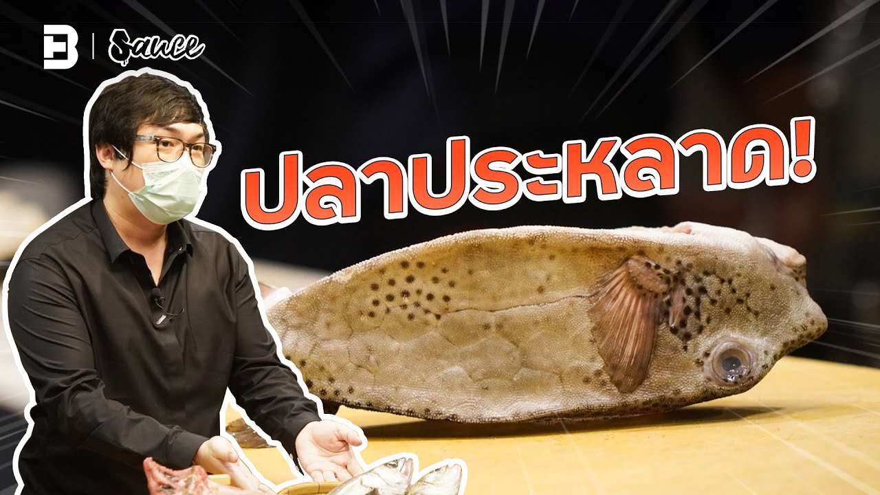 ร้านปลาประหลาด ที่อาจได้กินครั้งเดียวในชีวิต! | Sauce [Dir. zombie]