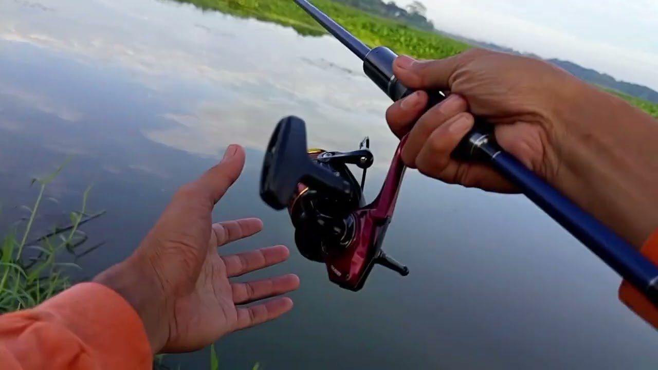 banyak sekali sambaran ikan tapi tidak tepat sasaran