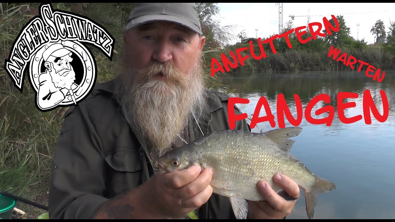 ANFÜTTERN, WARTEN, FANGEN 🎣🎣🎣 – Mit Telerute und Pose am stehenden Gewässer – Anglerschwatz -