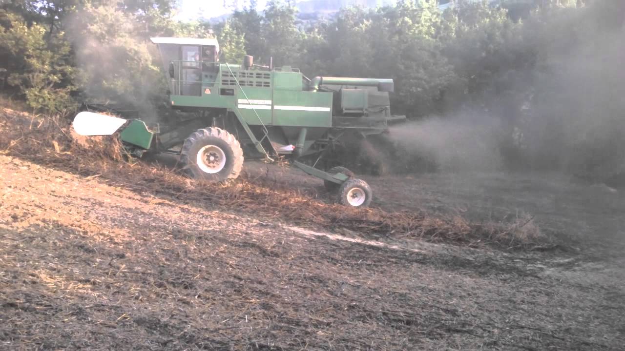 Arbos 565 A4L in una pendenza molto forte