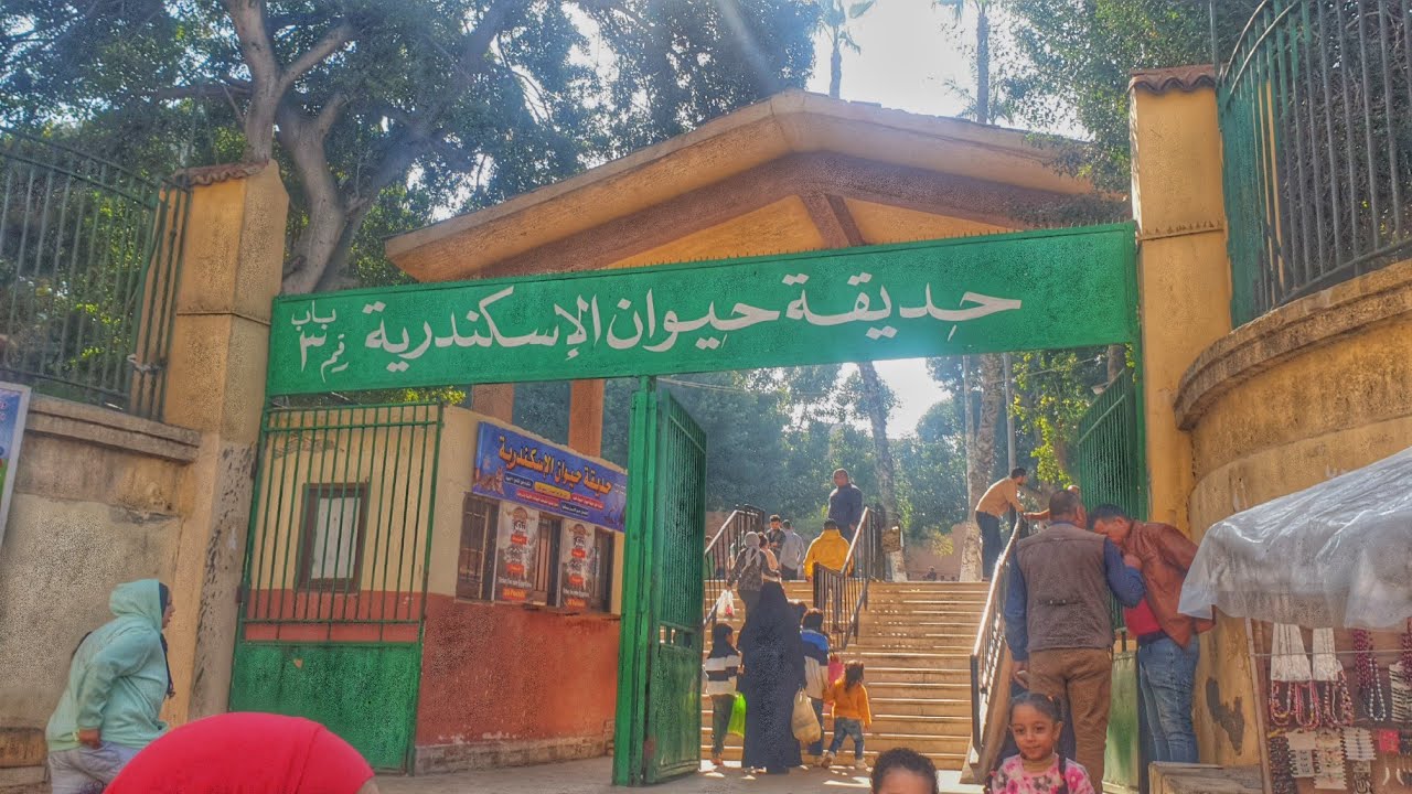 جولة في حديقة الحيوان بالاسكندرية واسعار التذاكر وريفيو عن جانجل بارك