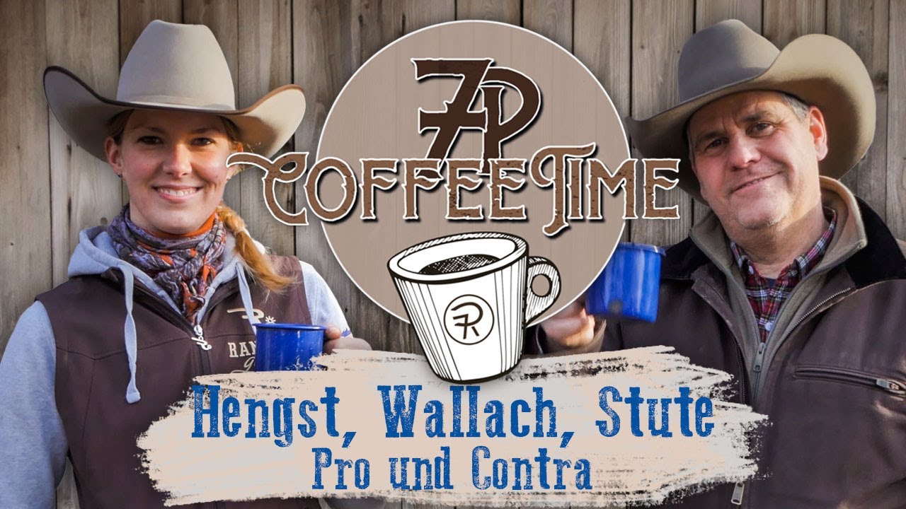 Hengst, Wallach oder Stute? Unsere Erfahrungen | 7P CoffeeTime ☕