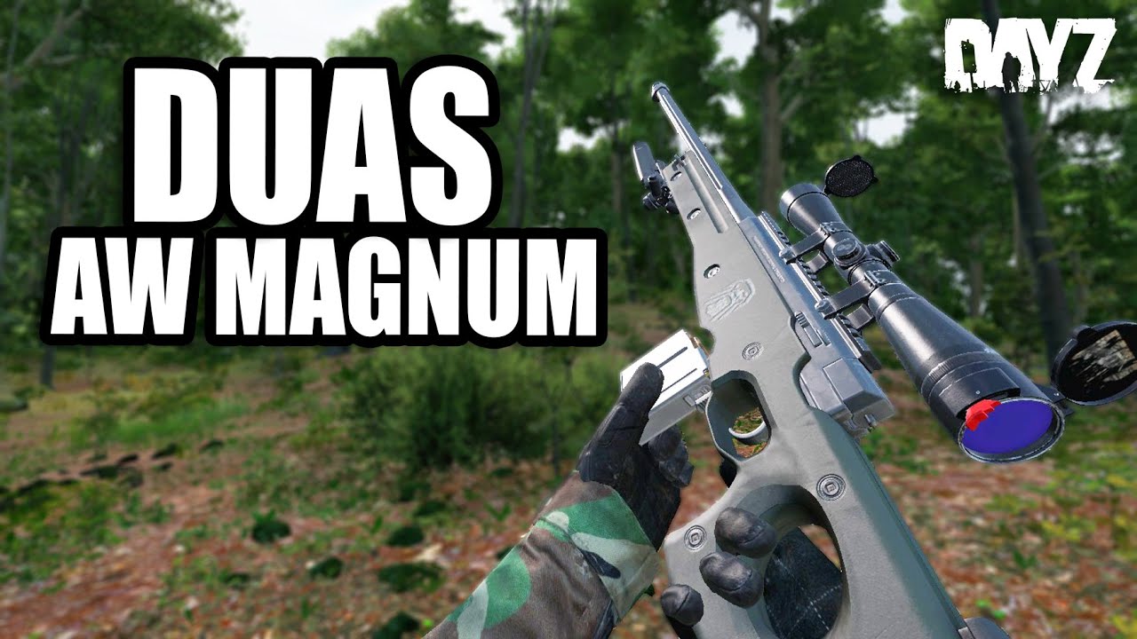 DUAS AW MAGNUM EM ESSEKER *O dia do TK - DayZ