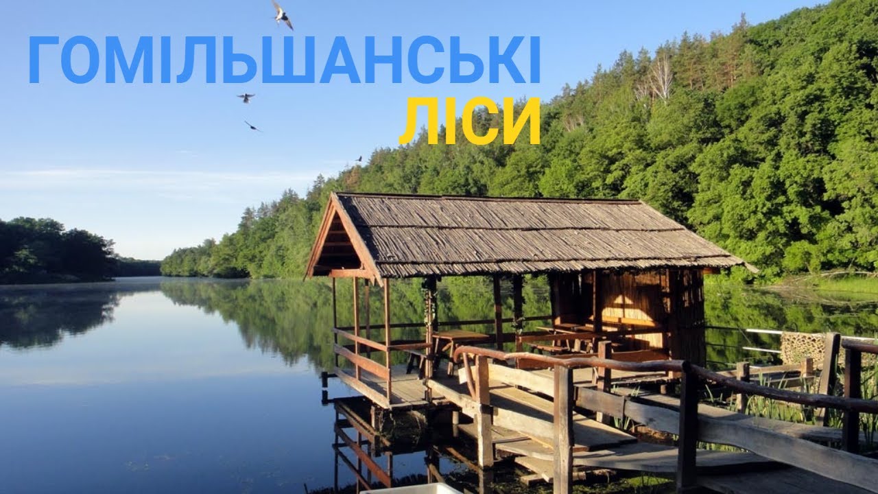 Эко-тропа в Гомольшанских лесах - Прогулка по 300-летним рощам | 