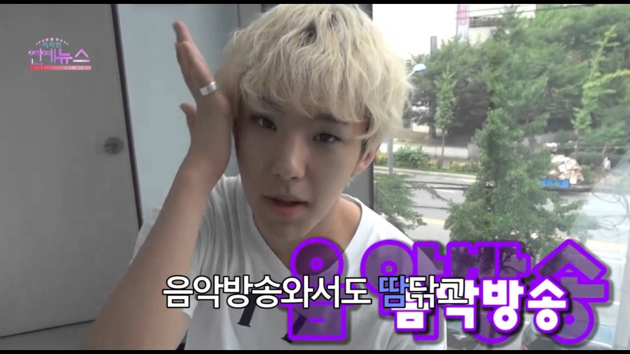 [세븐틴/호시/권순영] 다한(多汗) 권호시선생