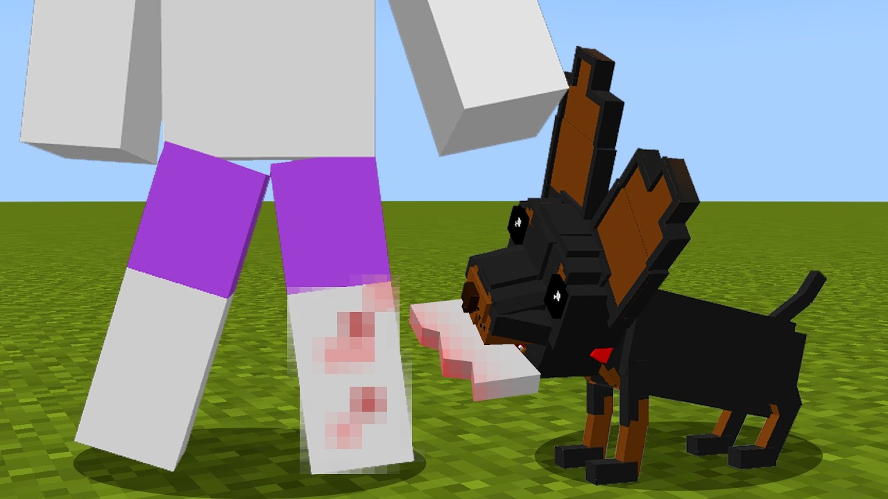 Life of a rabid Pinscher in Minecraft