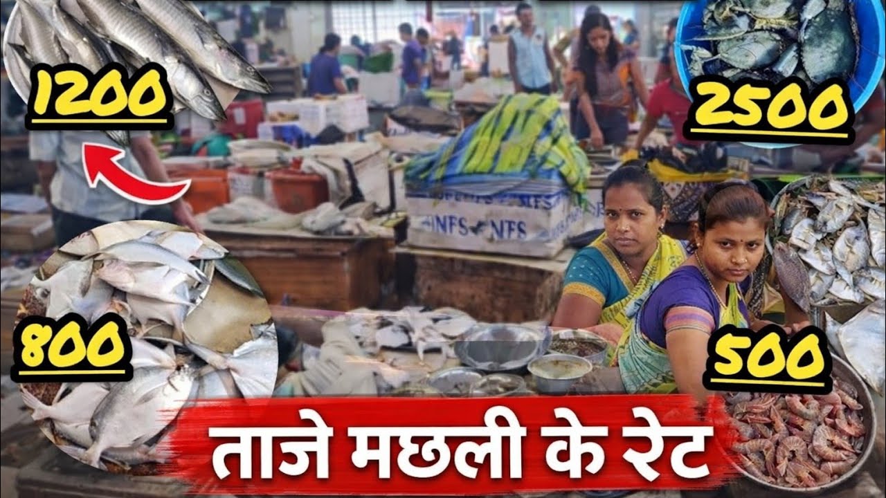 अलिबागचा मच्छी मार्केट बघितला का?..खूप महाग की स्वस्त? Alibag Fish Market🐟😋@alibagkarArati